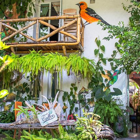 Hotel Casa Zen Galeria Y Cafe A Solo 8 Min De La Playa Santa Cruz Huatulco Eksteriør bilde